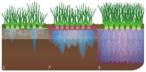 DU Example of root watering