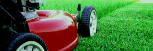 Lawn mower