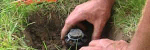 Sprinkler service