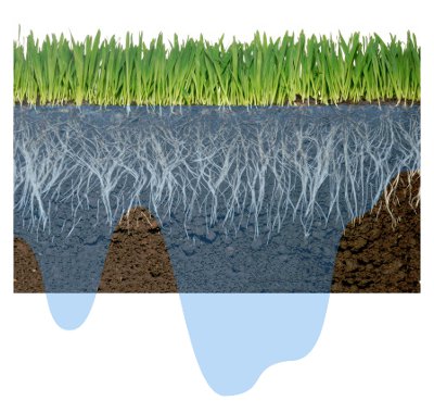 Uneven watering (Low DU)