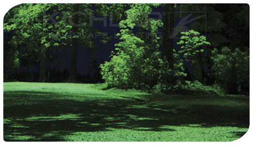 Landscape Lighting techniques