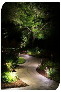 Landscape Lighting techniques