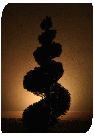 Landscape Lighting techniques