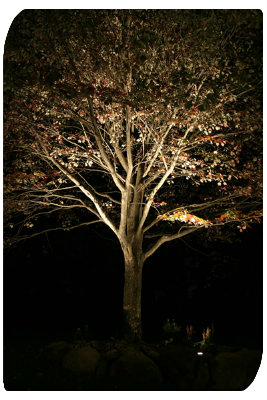 Landscape Lighting techniques