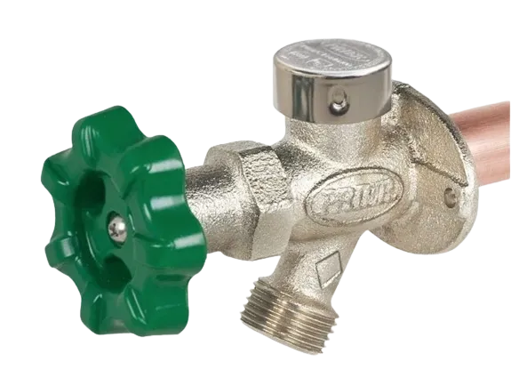 Frost free tap